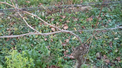 20171123_162116-500x281.jpg