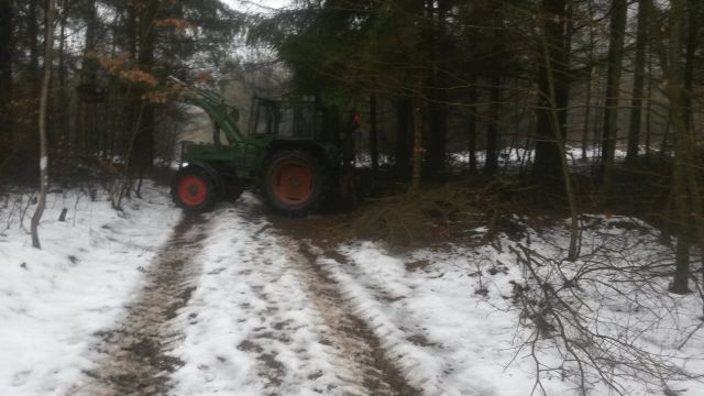 Rückegasse 09.01 (1).jpg