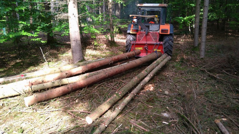 WhatsApp Image 2022-09-25 at 09.21.21.jpeg