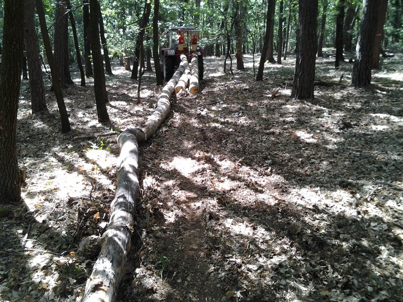 2012-08-20 11.15.35.jpg