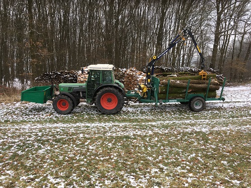 Fendt Forstner F4.JPG