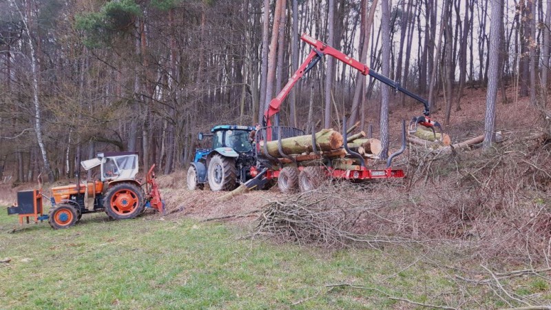 Holz rücken (17).jpg