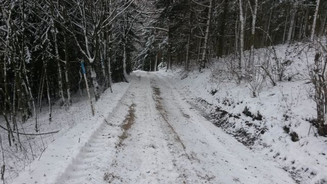 Durchforstung Jan. 2017b.jpg