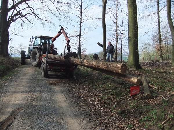 Douglasientransport und Kranunfall v. 10.04.2010 00111.jpg