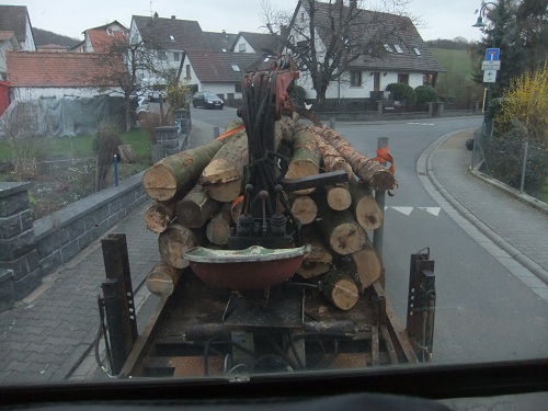 Rücken und Abtransport 2011 241.JPG